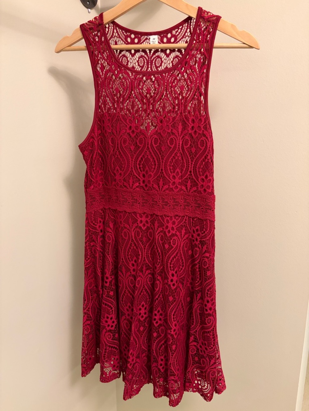 Francesca's Collections Crimson Lace Sleeveless Mini Dress